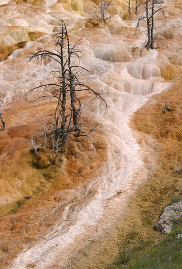 Mammoth Hot Springs Yellowstone