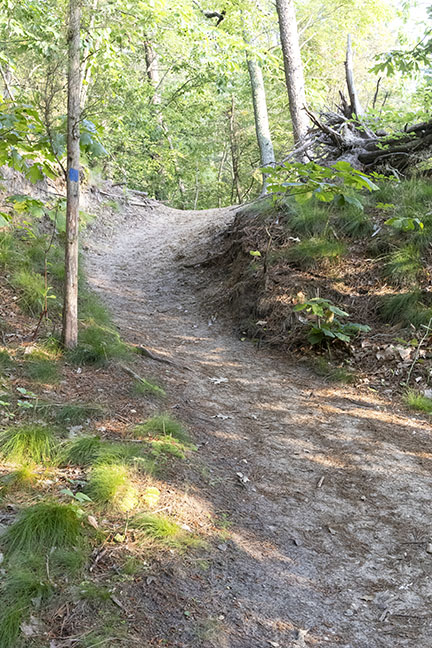 Maurice River Blue Trail