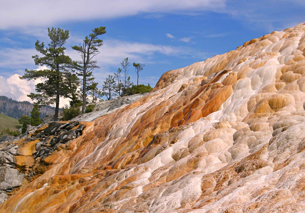 Minerva Terraces-Mamoth Hot Springs-Yellowstone