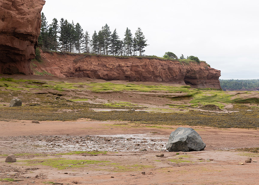 Burntcoat Cliffs