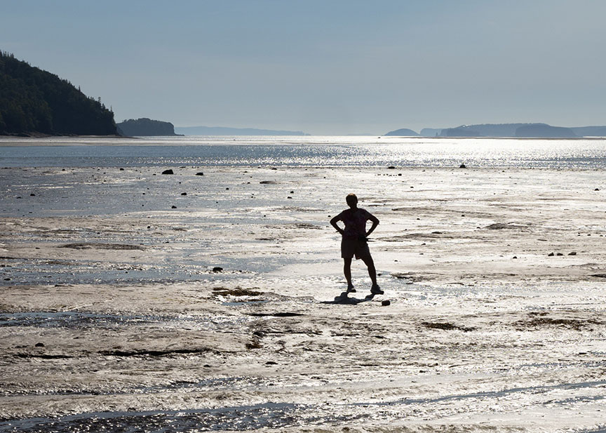 Silhouette at Low Tide