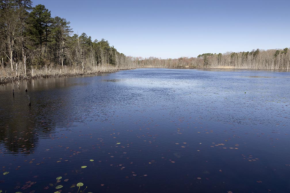 Piney Hollow Preserve