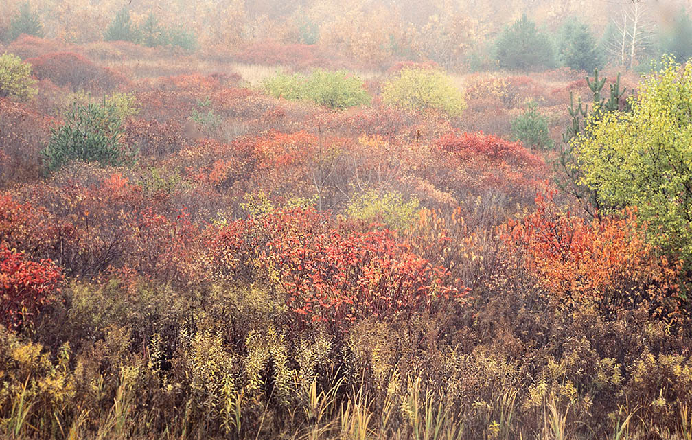 RIT Student Nature Photo