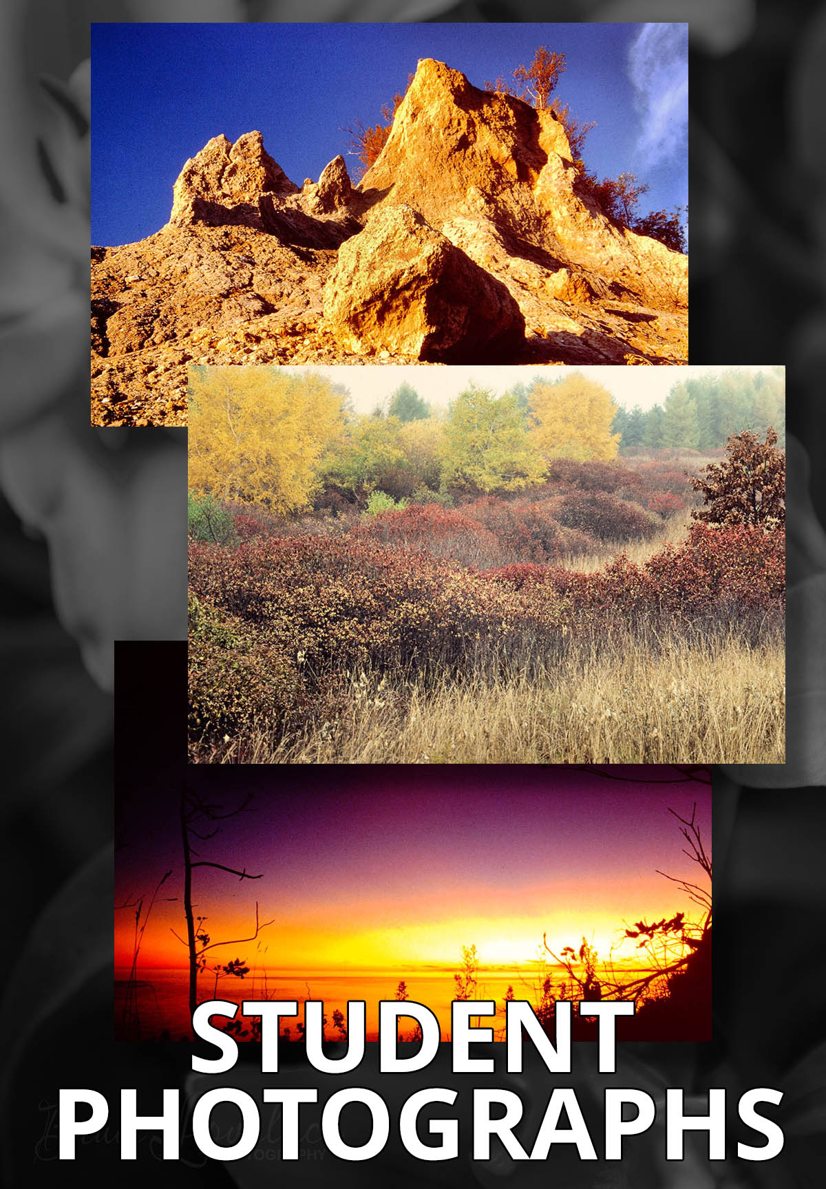 Student Nature Photos On Pinterest