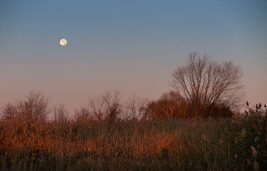 Salem moon at sunrise