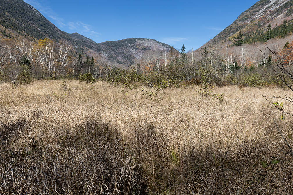 Sam Willey Trail View