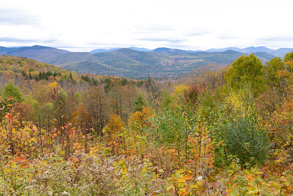 Scenic View 2 Bear Notch Road