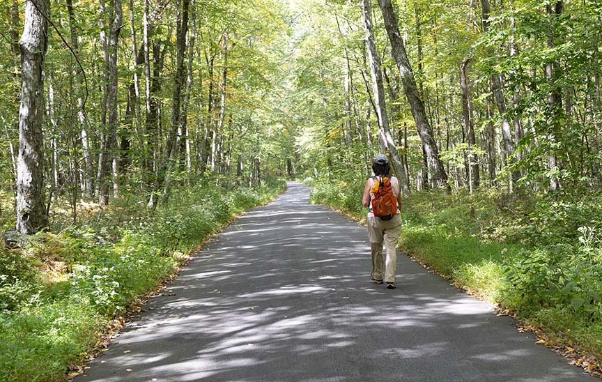 Sunlight filtering through the trees on a hiker walking the Sunrise Mountain Rd in Stokes State Forest, New Jersey.