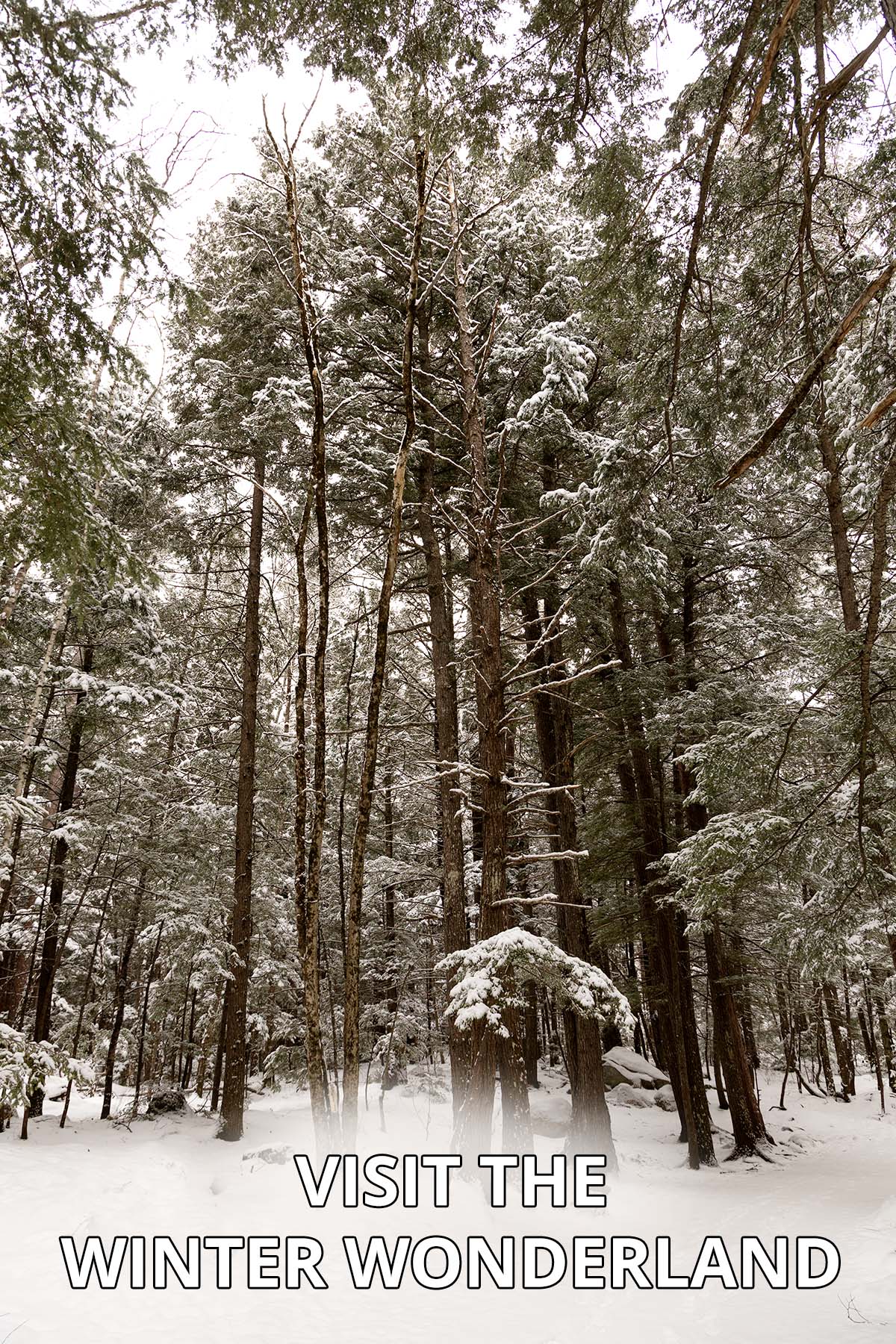 Visit The Winter Wonderland of Diana's Baths
