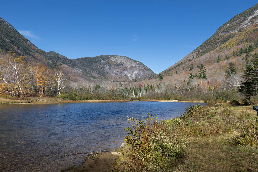 Willey Pond Loop Trail