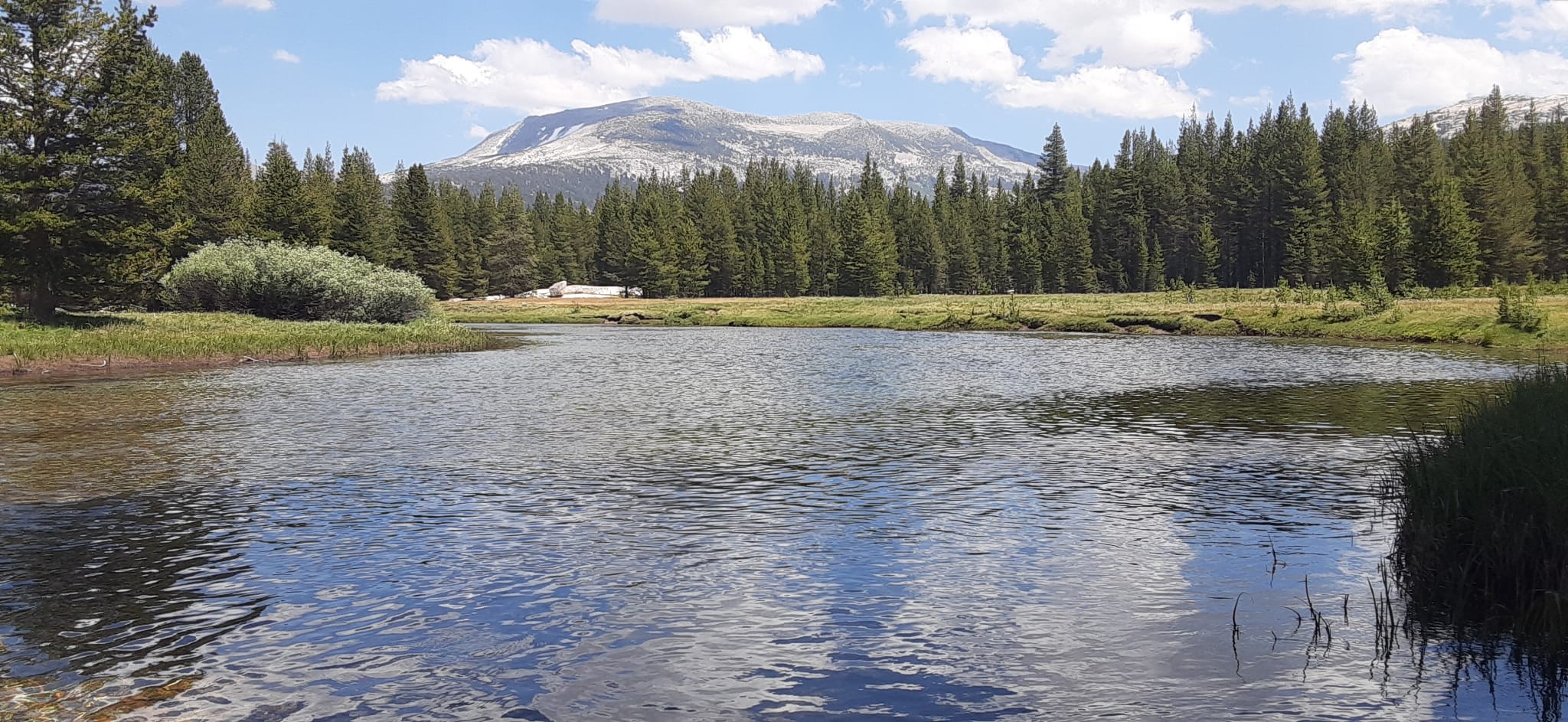 Yosemite Tuolumne Meadows
