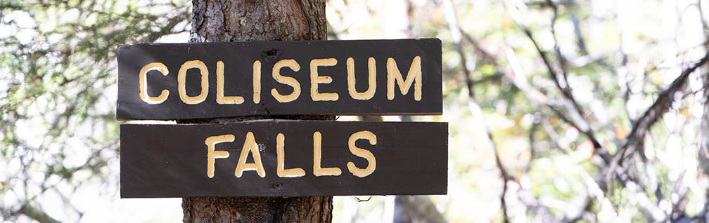 Coliseum Falls Sign