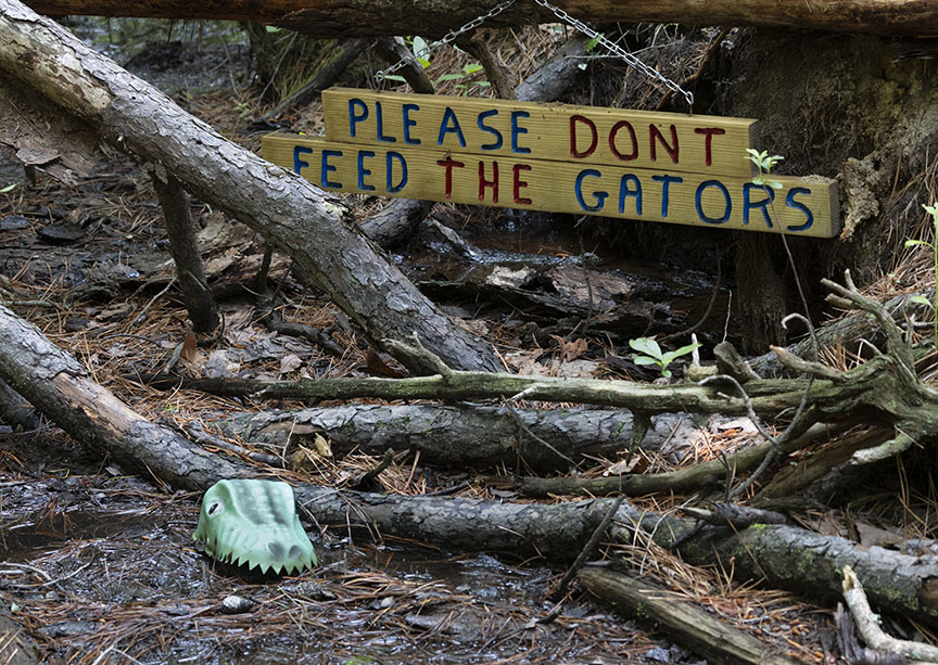 Don't feed the alligators sign