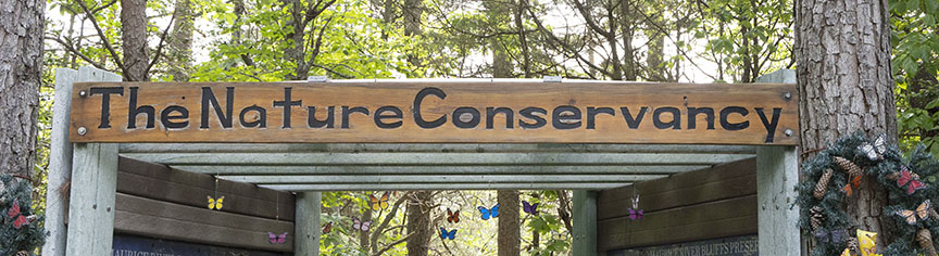 Nature Conservancy