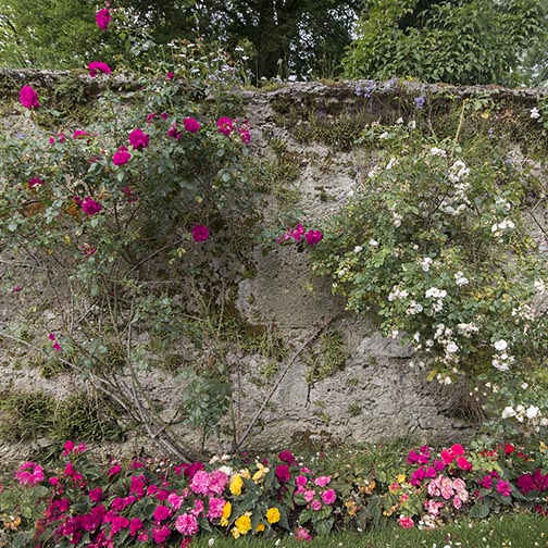 Sound of music Salzburg garden wall